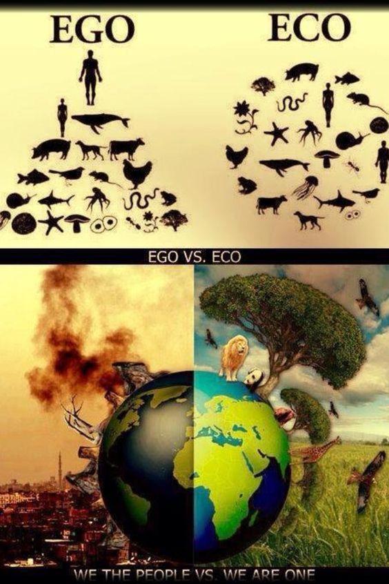 Бабкин такой Бабкін