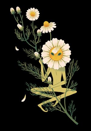 Рамантікі штота у вас малавата :D