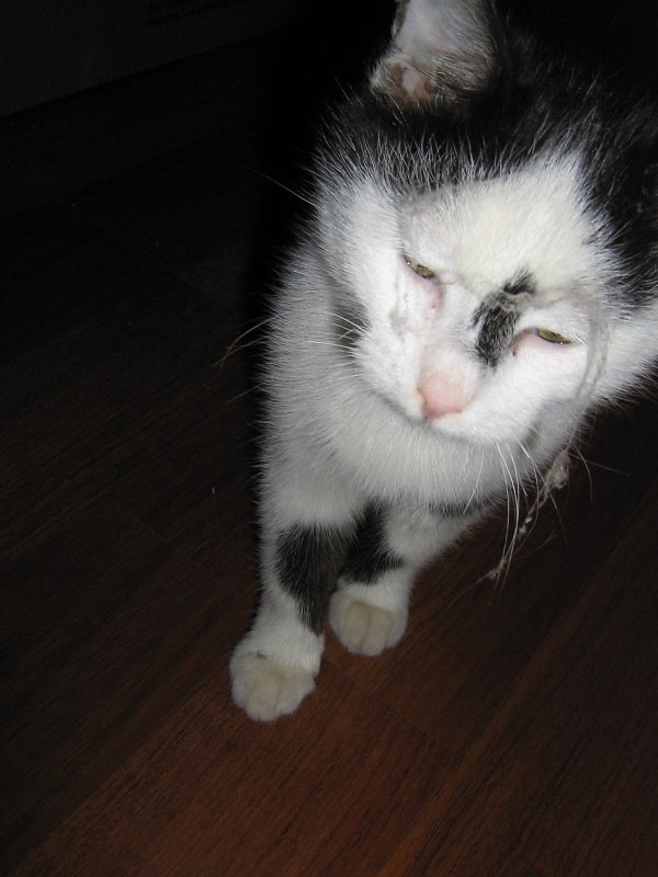 У кого-то есть пылесос