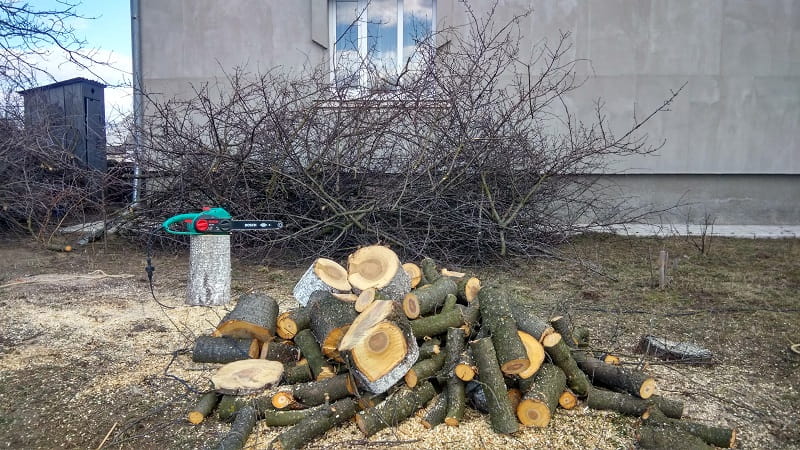Day 7. Выходи в сад