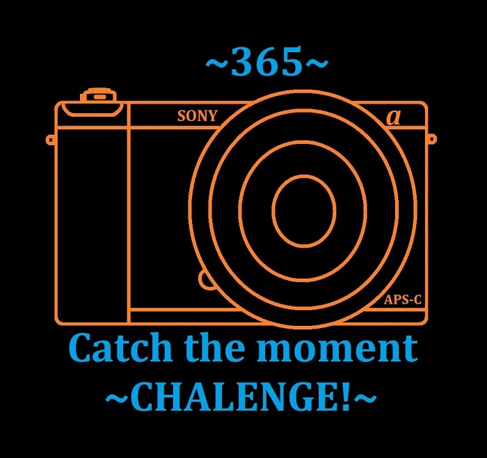SONY2-min