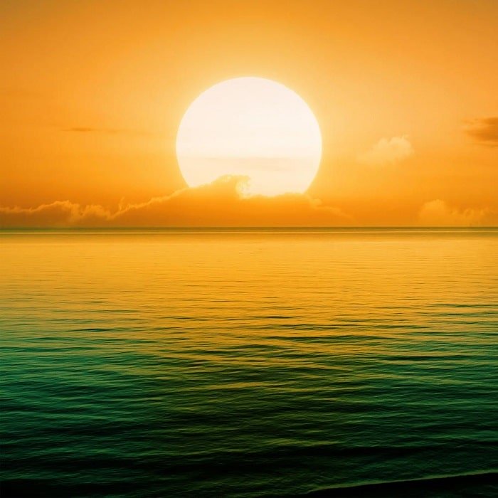 walldeco393-min