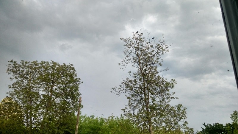 IMG_20190519_191338_HDR2-min