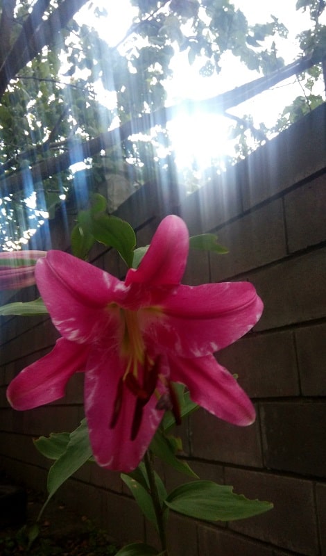 IMG_20190717_145642_HDR2-min