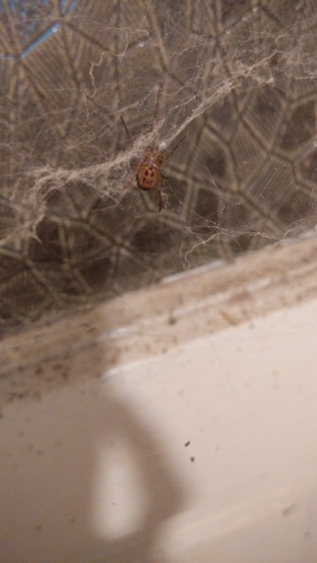 IMG_20190809_2015212-min