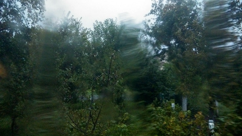 IMG_20190807_195258_HDR2-min