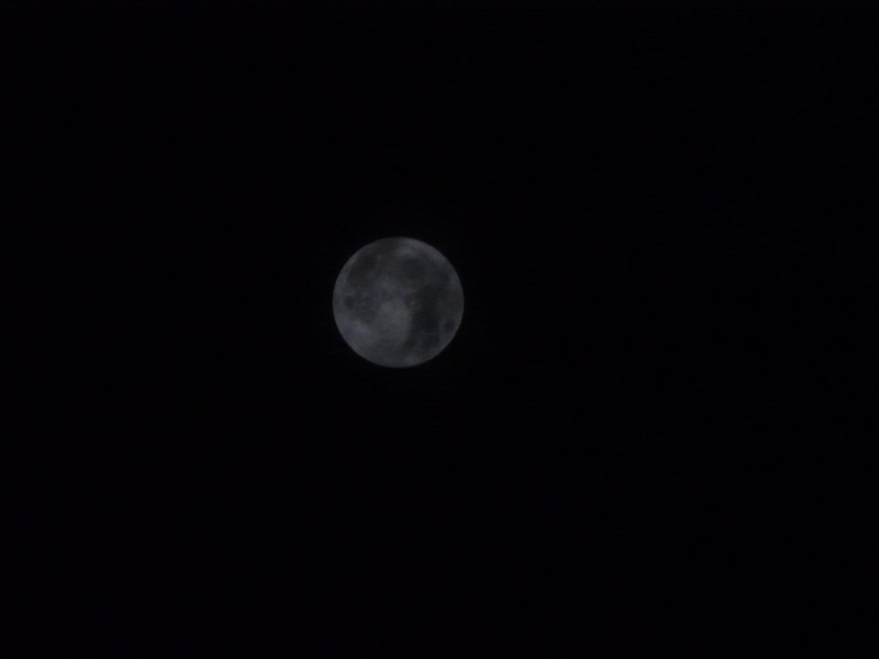 P11400882