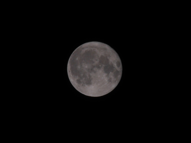 P11401322