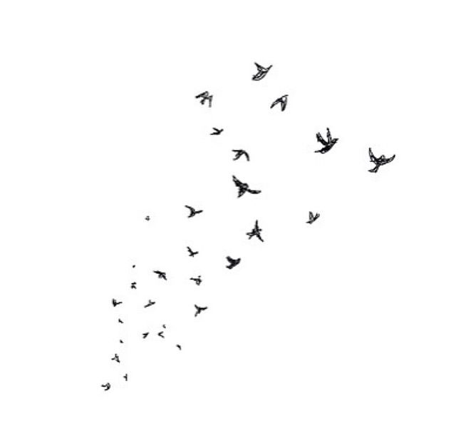 110768-Fly-Away-Birds