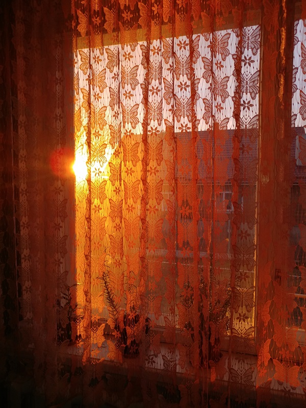 12091915482