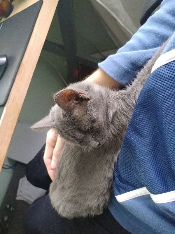 Day 288. По большому счету