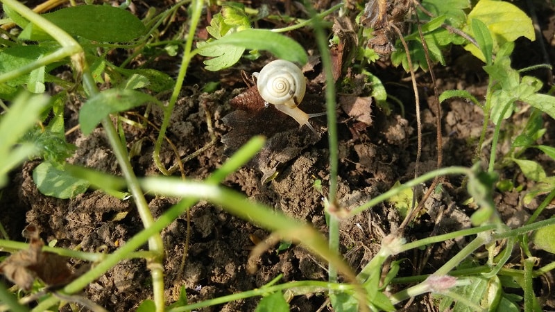 IMG_20200615_1804352-min