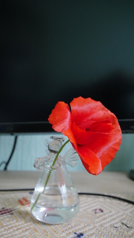 P10502672