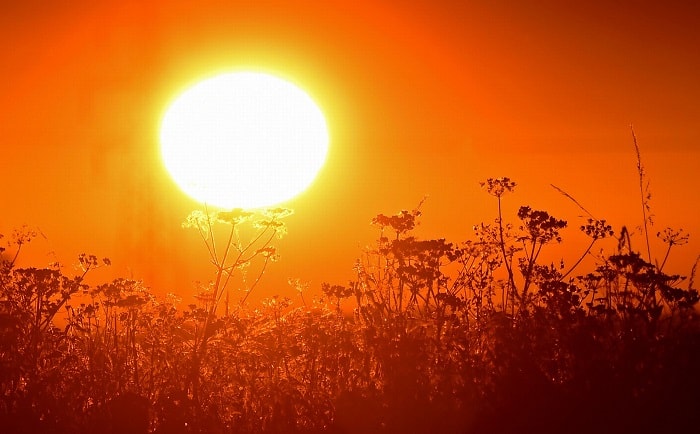 heatwave-min