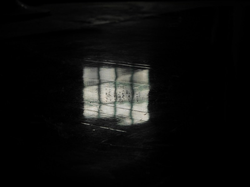 P3950588-min