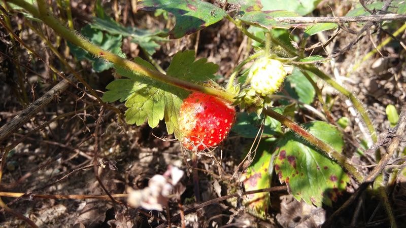 IMG_20200914_150656_result-min