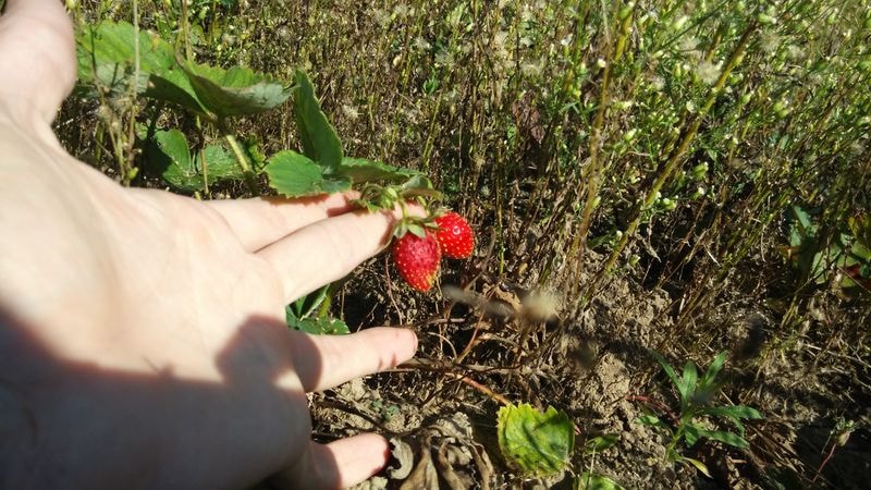 IMG_20200914_150708_result-min