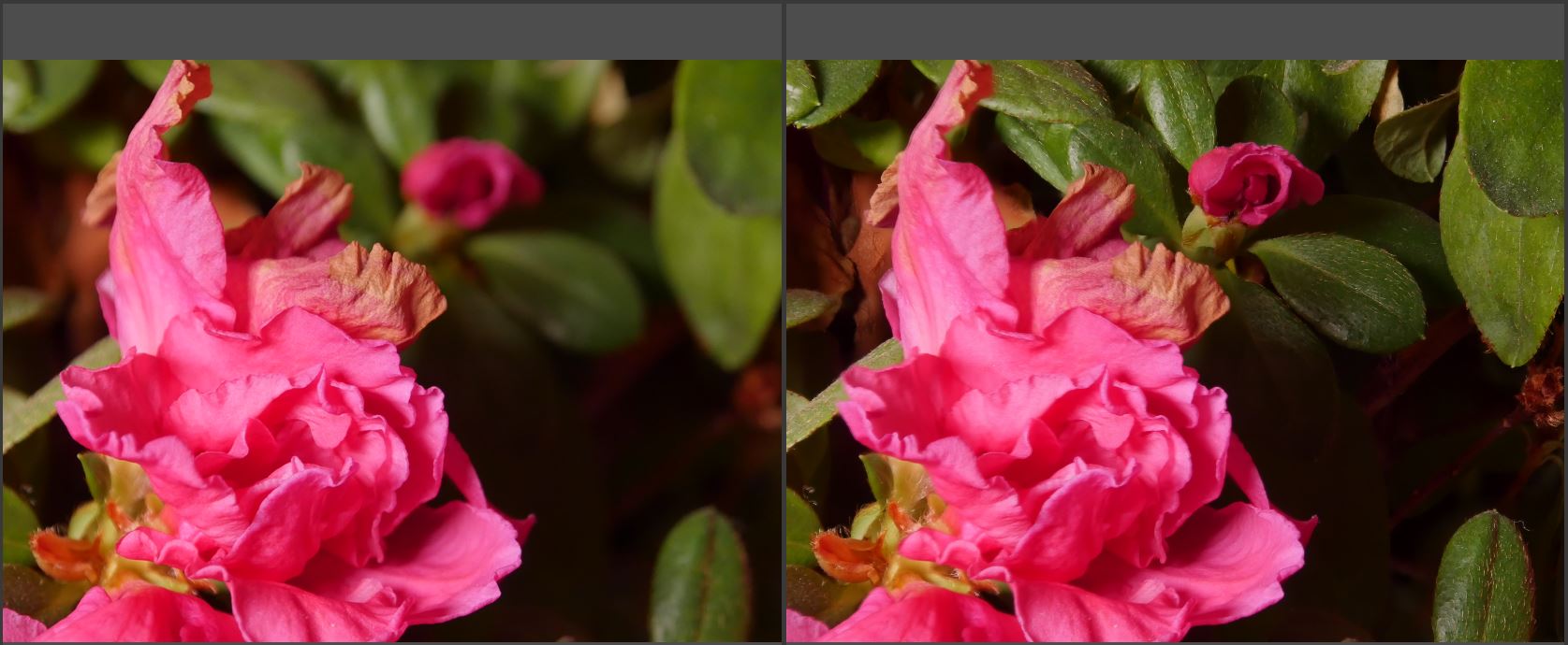 Кто чем… #фото #эксперименты занимается…