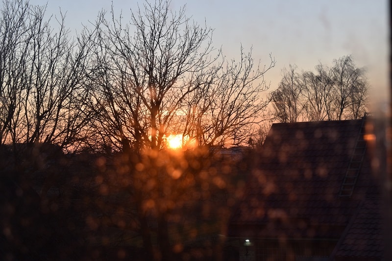 DSC_00022-min