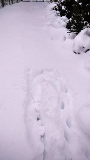 Снежная безысходность