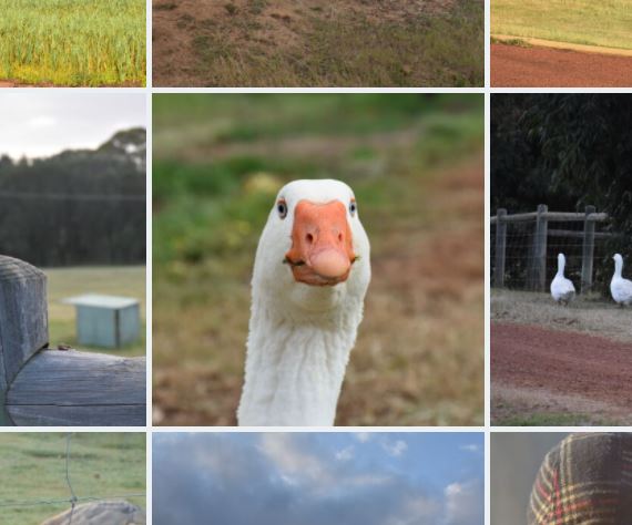 Временность безвременных хранилищ