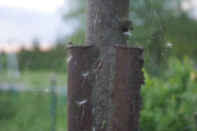Кладбище самолетов…