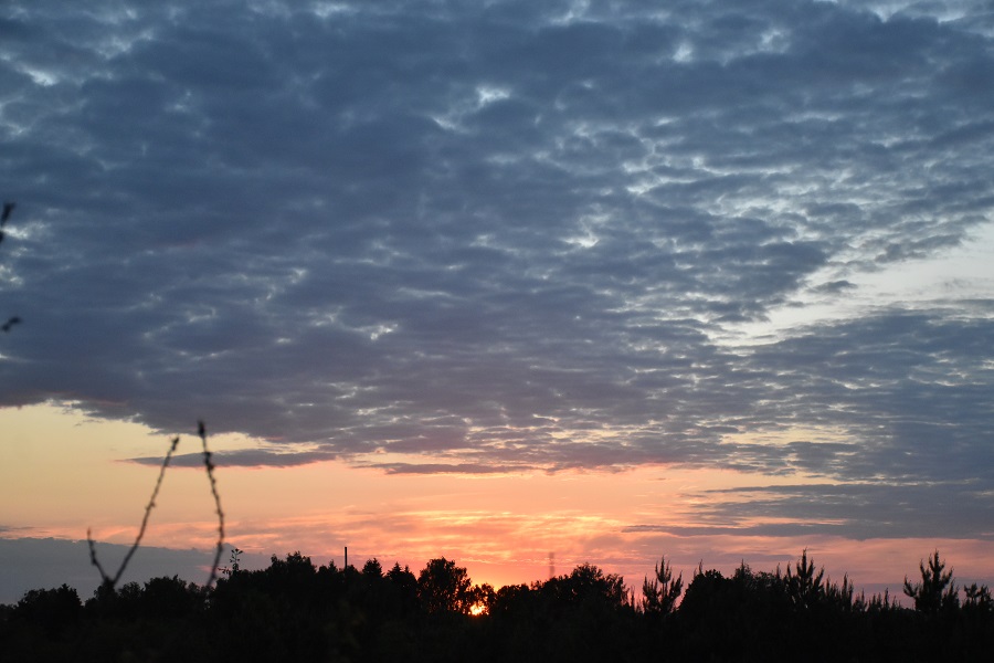 Я запомню это небо…ч2