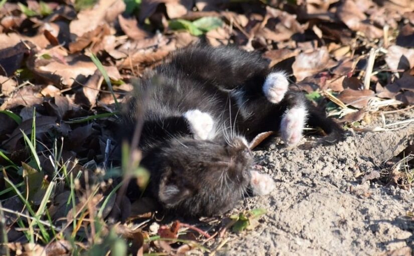 Есть болезнь, от которой нет лекарства..