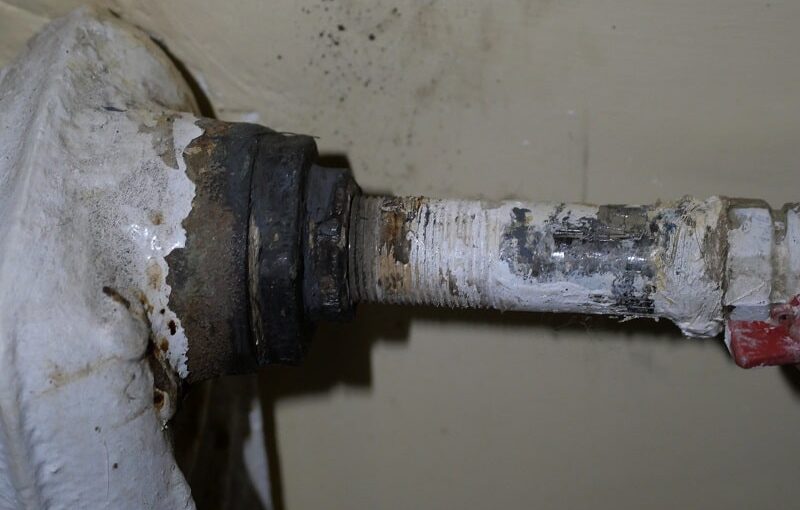 Кажется, это первое…