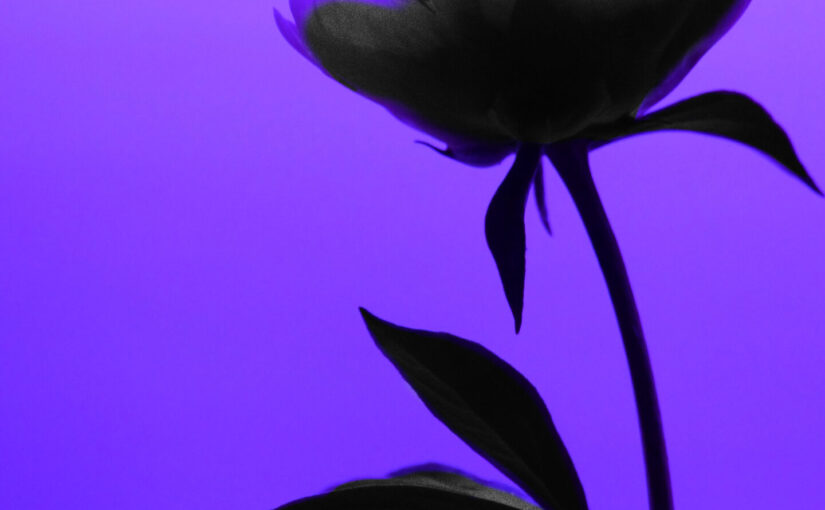 Вибірковість